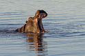 031 Botswana, Okavango Delta